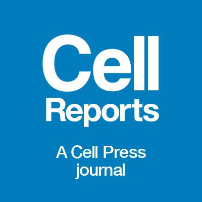 Paper: DOT1L activity in leukemia cells